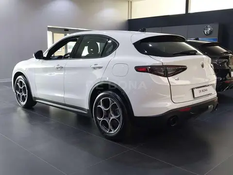 Annonce ALFA ROMEO STELVIO Diesel 2024 d'occasion 