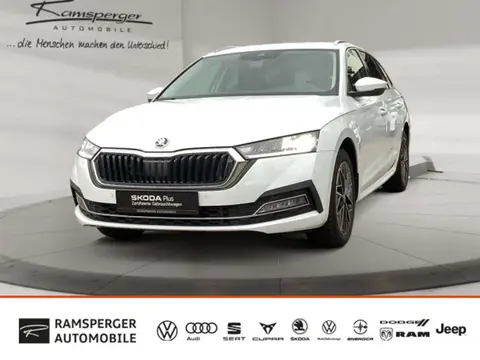 Annonce SKODA OCTAVIA Diesel 2024 d'occasion 