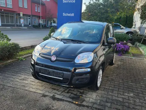 Annonce FIAT PANDA Essence 2020 d'occasion 