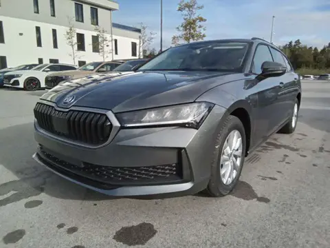 Annonce SKODA SUPERB Diesel 2024 d'occasion 