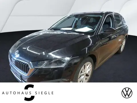 Used SKODA OCTAVIA Diesel 2020 Ad 