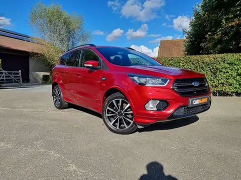 Used FORD KUGA Petrol 2019 Ad 