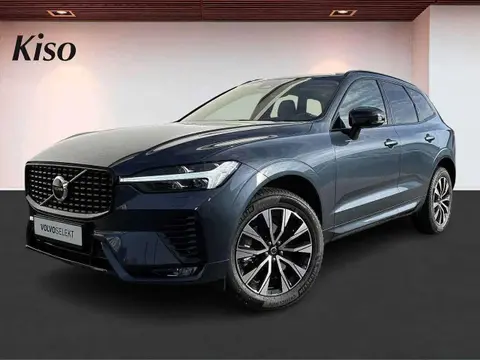 Annonce VOLVO XC60 Diesel 2023 d'occasion 