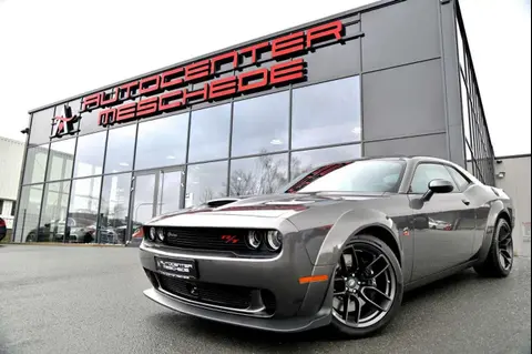 Used DODGE CHALLENGER Petrol 2024 Ad 