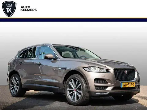 Used JAGUAR F-PACE Diesel 2017 Ad 