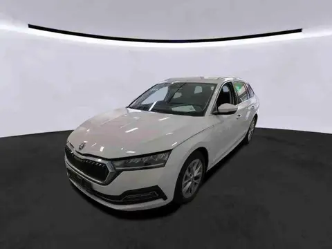 Annonce SKODA OCTAVIA Diesel 2022 d'occasion 