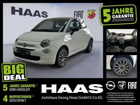 Used FIAT 500 Petrol 2023 Ad 