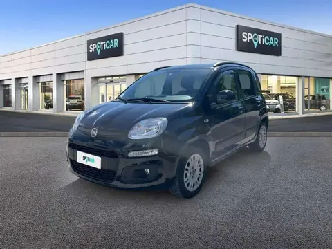 Used FIAT PANDA Petrol 2019 Ad 