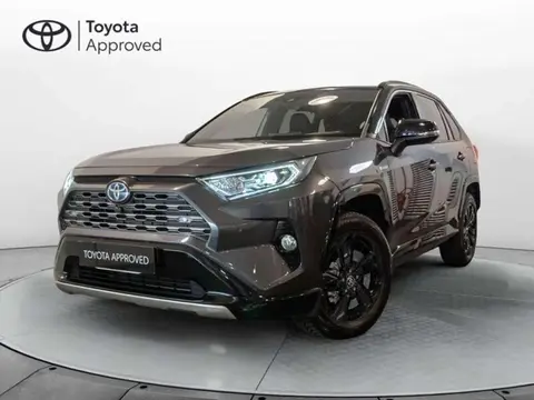 Used TOYOTA RAV4 Hybrid 2019 Ad 