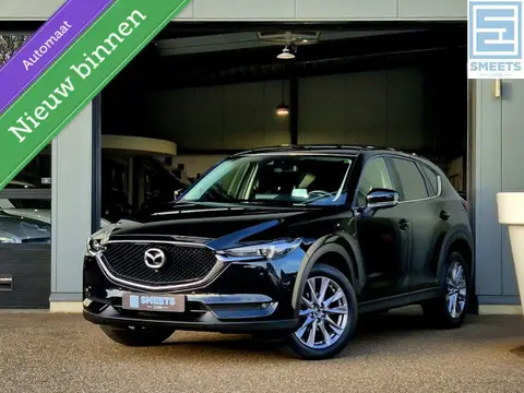 Annonce MAZDA CX-5 Essence 2019 d'occasion 