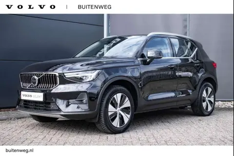 Used VOLVO XC40 Hybrid 2023 Ad 