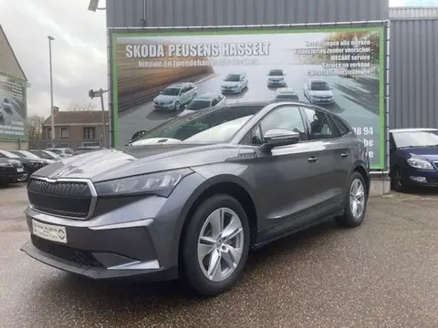 Used SKODA ENYAQ Electric 2023 Ad 