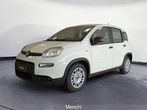 Annonce FIAT PANDA  2024 d'occasion 