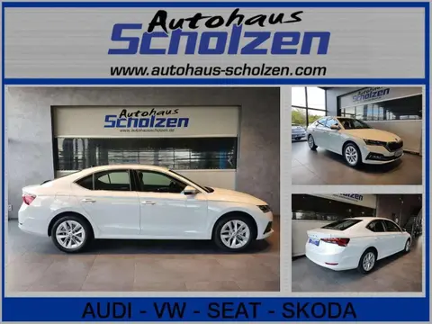 Used SKODA OCTAVIA Diesel 2023 Ad 