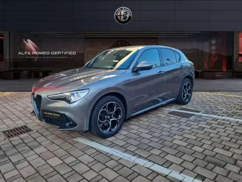 Annonce ALFA ROMEO STELVIO Diesel 2021 d'occasion 