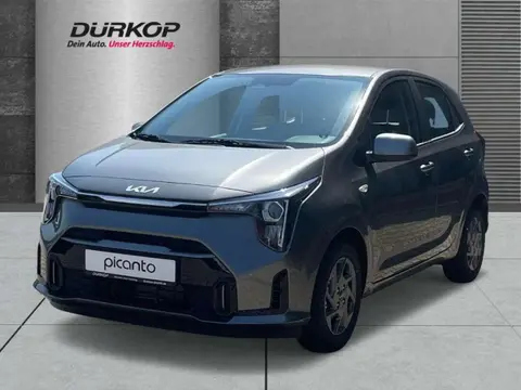 Used KIA PICANTO Petrol 2024 Ad 