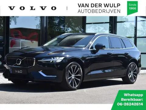 Used VOLVO V60 Hybrid 2024 Ad 