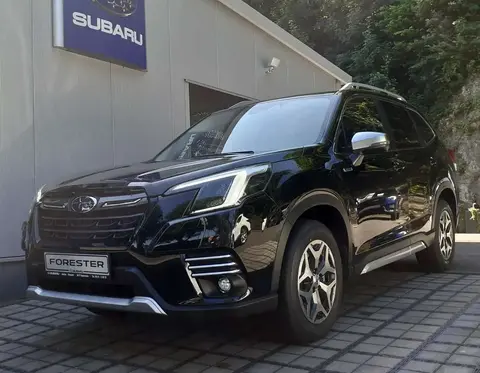 Annonce SUBARU FORESTER Essence 2024 d'occasion 