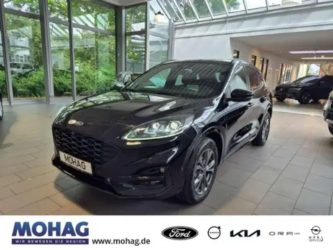 Used FORD KUGA Hybrid 2021 Ad 