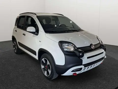 Annonce FIAT PANDA Hybride 2024 d'occasion 