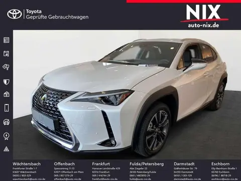 Used LEXUS UX Hybrid 2024 Ad Germany