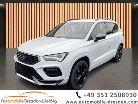 Used CUPRA ATECA Petrol 2024 Ad 