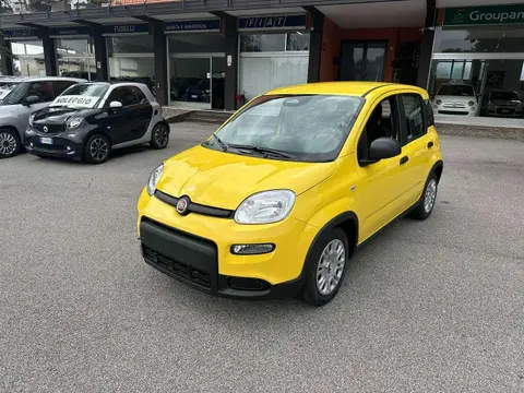 Annonce FIAT PANDA Hybride 2024 d'occasion 