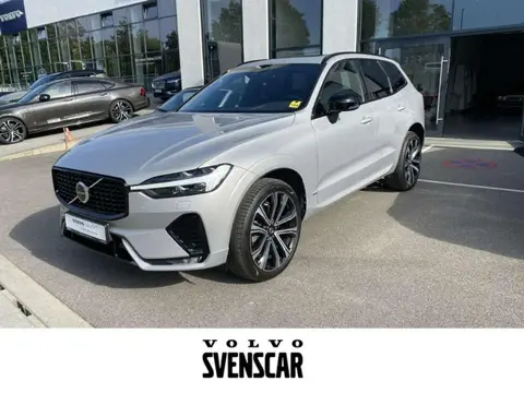 Annonce VOLVO XC60 Diesel 2021 d'occasion 