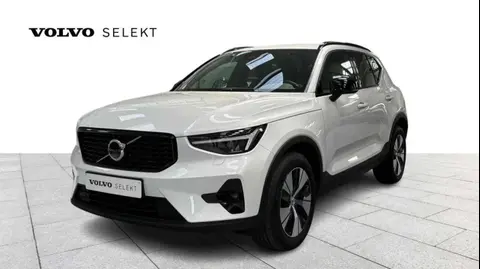 Used VOLVO XC40 Hybrid 2023 Ad 