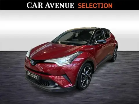 Used TOYOTA C-HR Hybrid 2019 Ad 