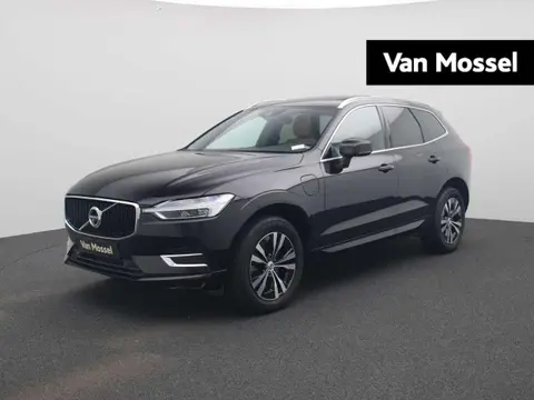 Annonce VOLVO XC60 Hybride 2019 d'occasion 