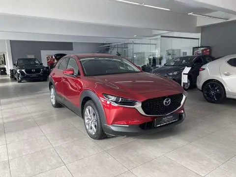 Annonce MAZDA CX-30 Essence 2023 d'occasion 