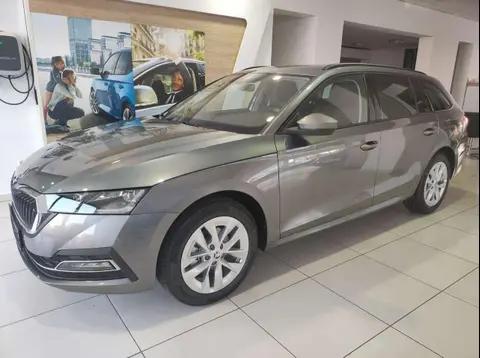 Used SKODA OCTAVIA Petrol 2024 Ad 