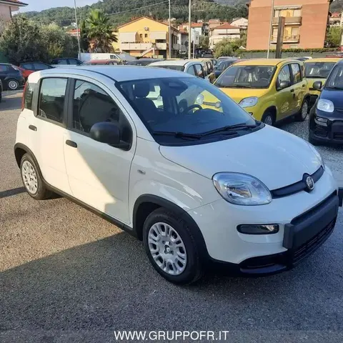 Used FIAT PANDA Hybrid 2024 Ad 