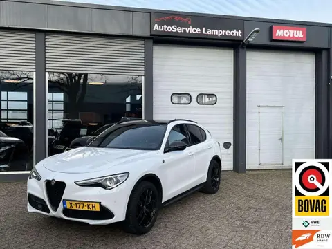 Used ALFA ROMEO STELVIO Petrol 2018 Ad 