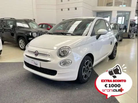 Used FIAT 500 Hybrid 2023 Ad 