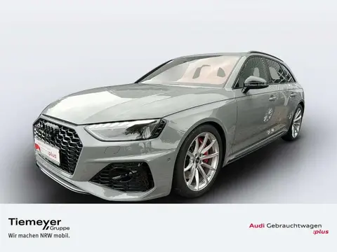 Used AUDI RS4 Petrol 2022 Ad 