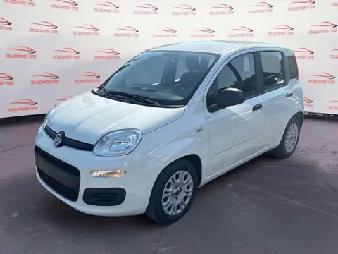 Annonce FIAT PANDA Hybride 2021 d'occasion 