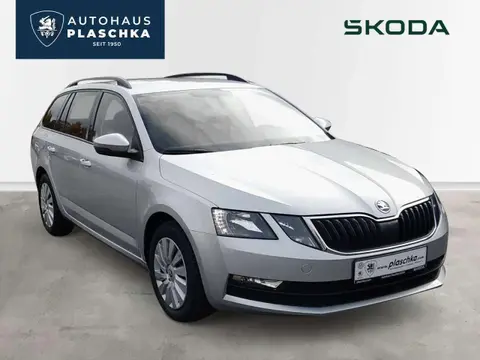 Annonce SKODA OCTAVIA Diesel 2019 d'occasion 