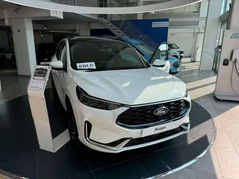 Annonce FORD KUGA Hybride 2024 d'occasion 