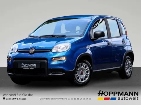 Annonce FIAT PANDA Essence 2024 d'occasion 