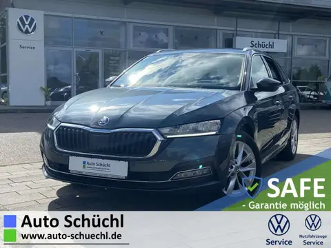 Used SKODA OCTAVIA Diesel 2020 Ad 