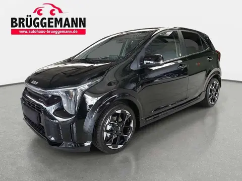 Used KIA PICANTO Petrol 2024 Ad 