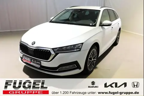 Annonce SKODA OCTAVIA Essence 2021 d'occasion 