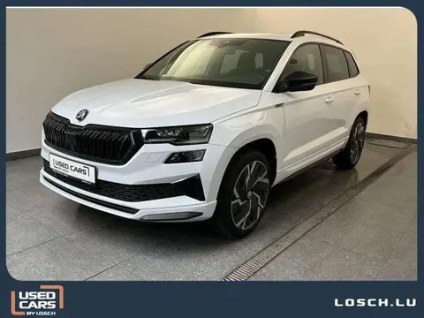 Annonce SKODA KAROQ Diesel 2023 d'occasion 