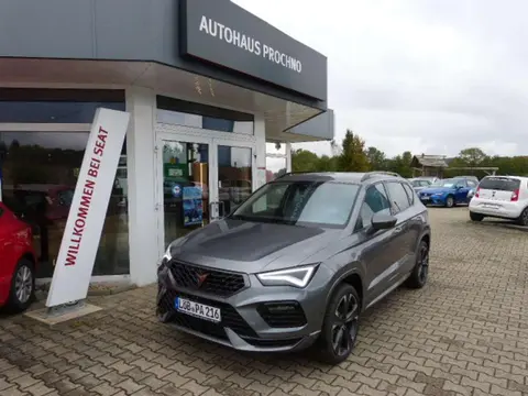 Annonce CUPRA ATECA Essence 2024 d'occasion 