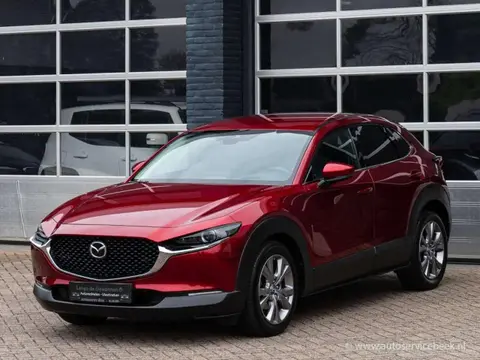 Annonce MAZDA CX-30 Essence 2020 d'occasion 