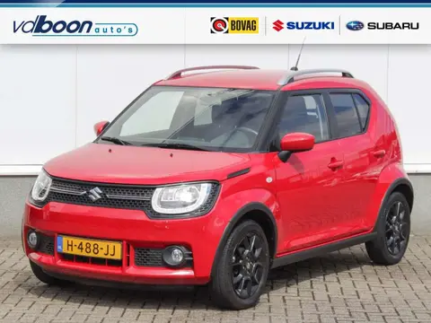 Used SUZUKI IGNIS Hybrid 2020 Ad 