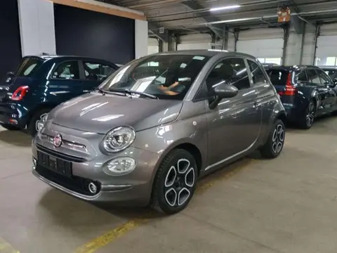 Used FIAT 500 Petrol 2022 Ad 