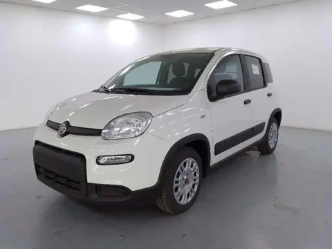 Annonce FIAT PANDA Hybride 2023 d'occasion 